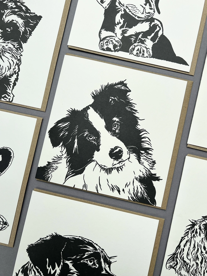 Big Collie card in the middle of the other big dog cards we have to offer