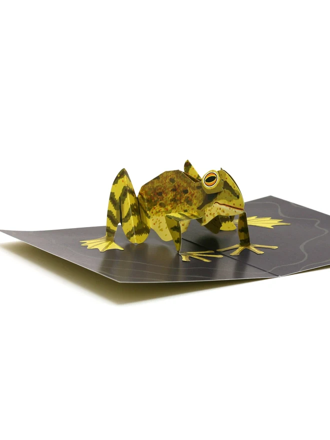 3d frog pop out card