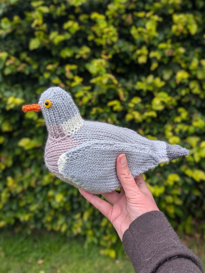 wood pigeon knitting kit, big knitted wood pigeon being held up in the air. There is a hedge in the background.