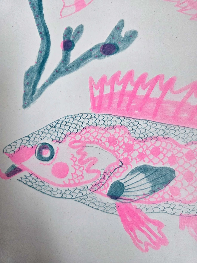 close up pink and blue risograph print of 3 fish and seaweed