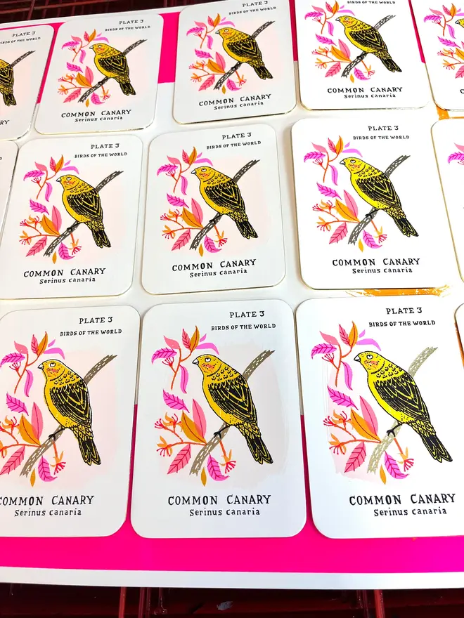 Canary Screenprint On Gold Edge Card, a group of colourful bird designs on white card on a studio rack. 