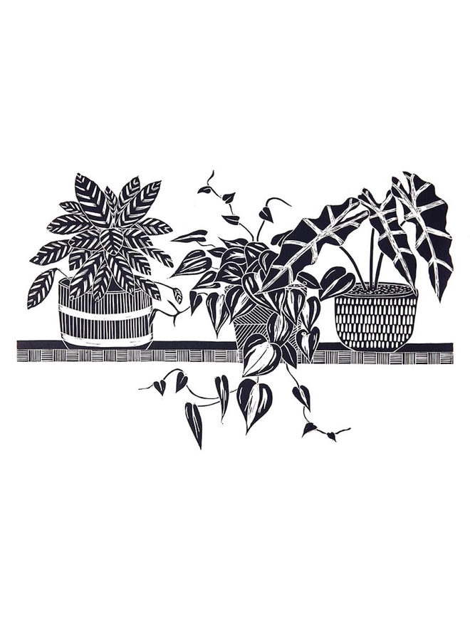 Picture of three houseplants sat on a shelf, taken from an original Lino Print 