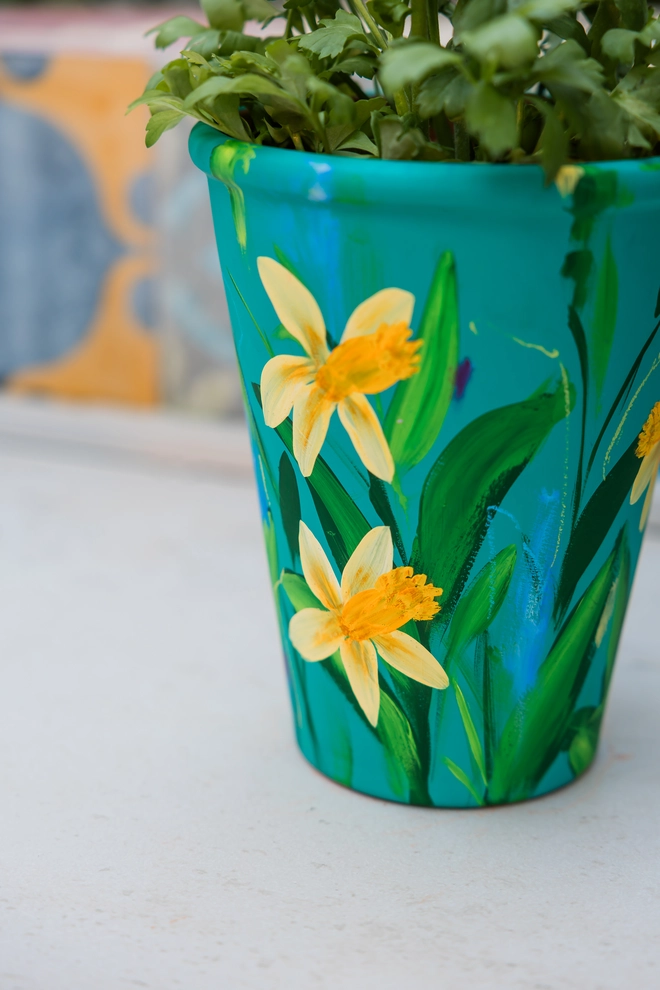 A beautifully hand painted interior terracotta plant pot. Background painted in a rich blue green adorned in vibrant Cornish Trelawney Gold daffodil flowers.