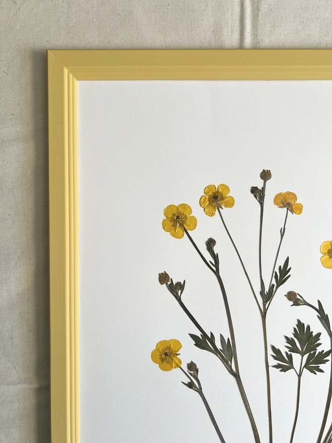 close up of top left corner of frame