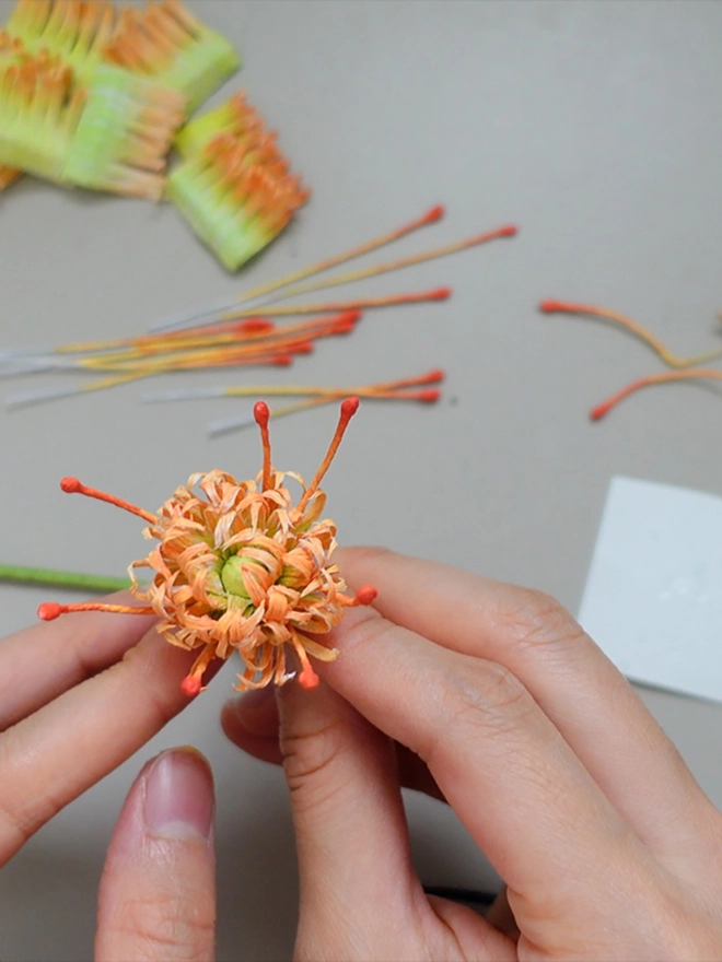 Crepe Paper Pincushion Protea DIY Kit