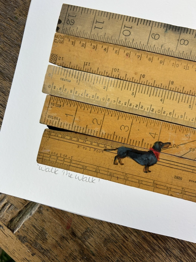 dachshund sausage dog rulers