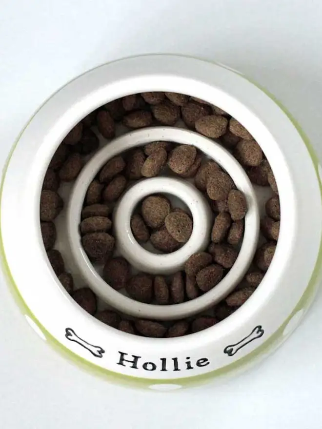 Cavalier King Charles Go-Slo Bowl