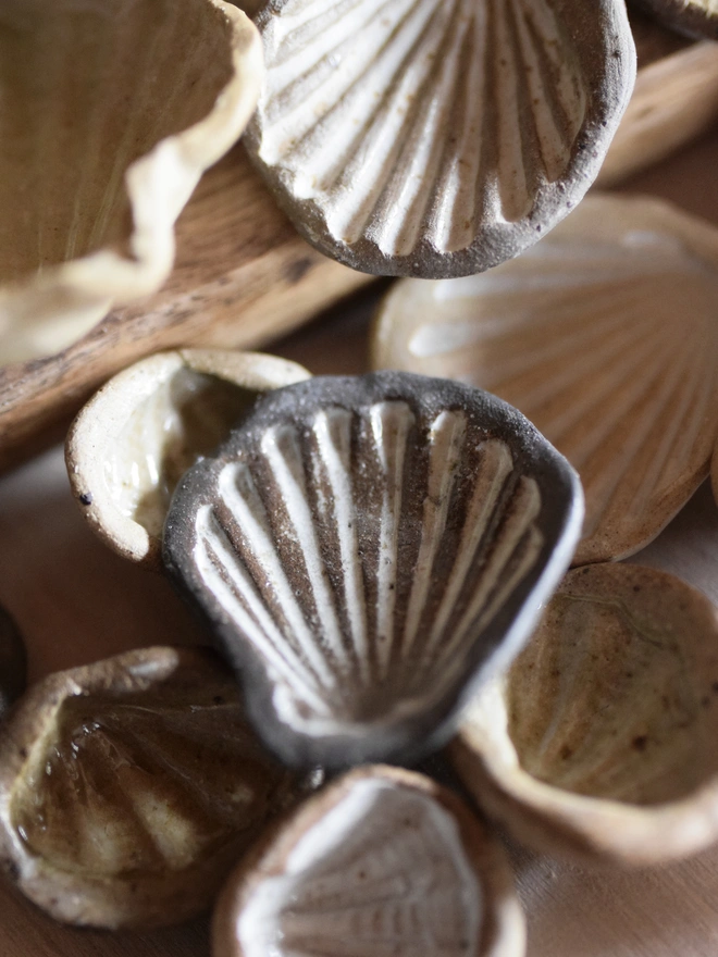 ceramic seashell trinket worry stone