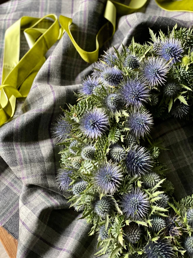 Christmas Foliage and Fresh Eryngium Thistle Wreath