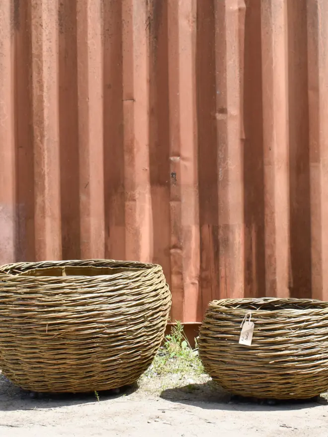 Willow Woven Basket