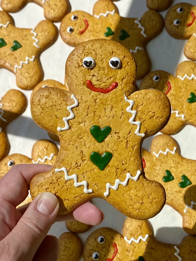 Gingerbread Biscuit 