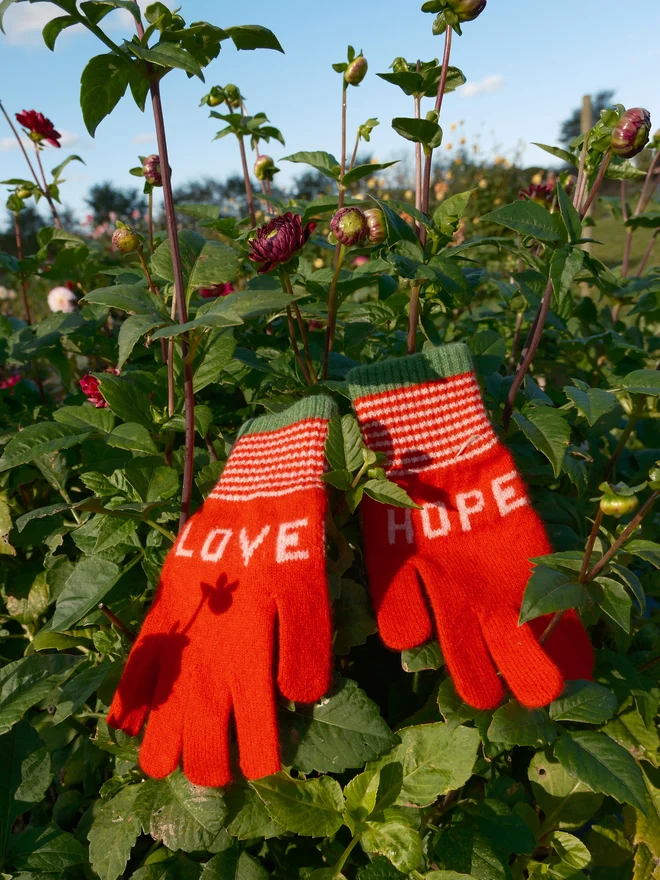 Quinton & Chadwick Love & Hope Gloves in red and pale pink with green tipping 