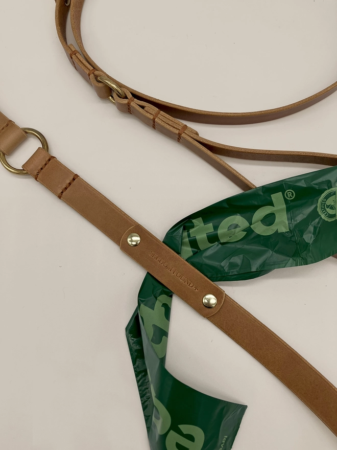 caramel leather dog leads close up shot