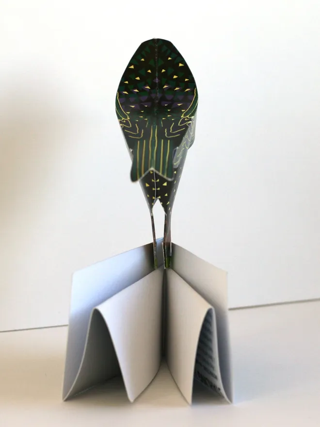 3d starling pop out card