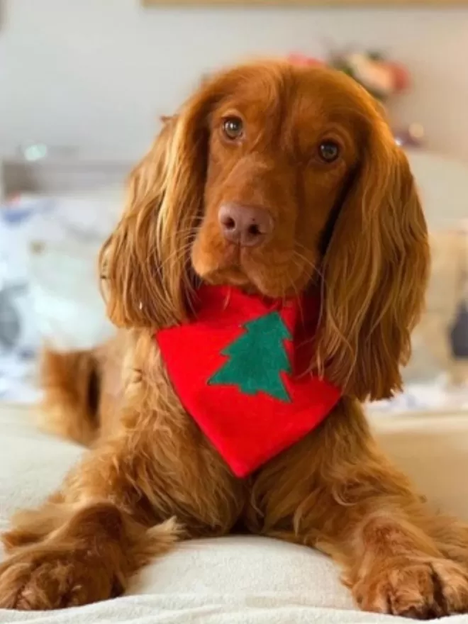 Classic Christmas Tree Slip on Bandana cocker Spaniel