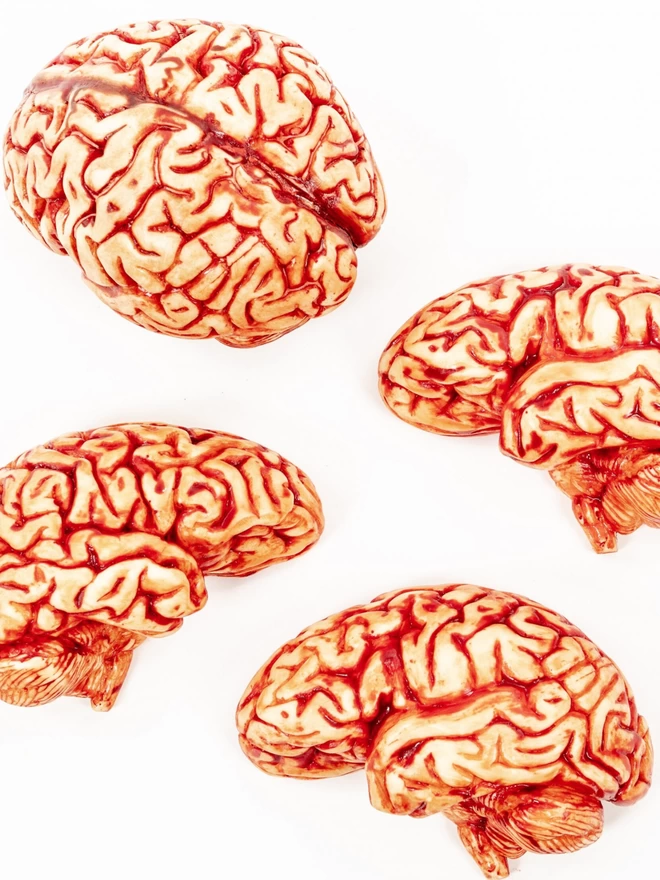 Realistic edible chocolate human brains on white background