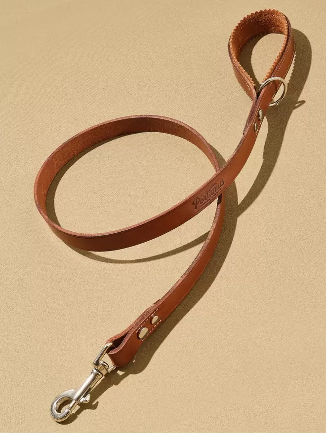 Brown leather Windsoredge dog lead with Nickle free 'Silver' hardware.