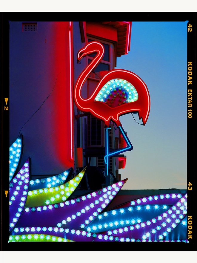Neon Flamingo Richard Heeps colour print