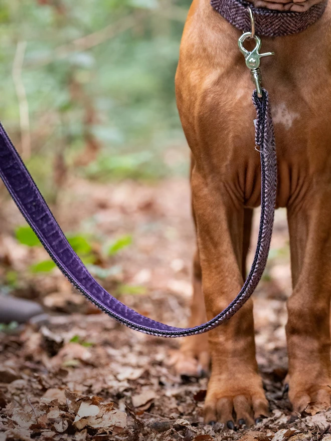 Blackberry Herringbone Tweed Dog Lead