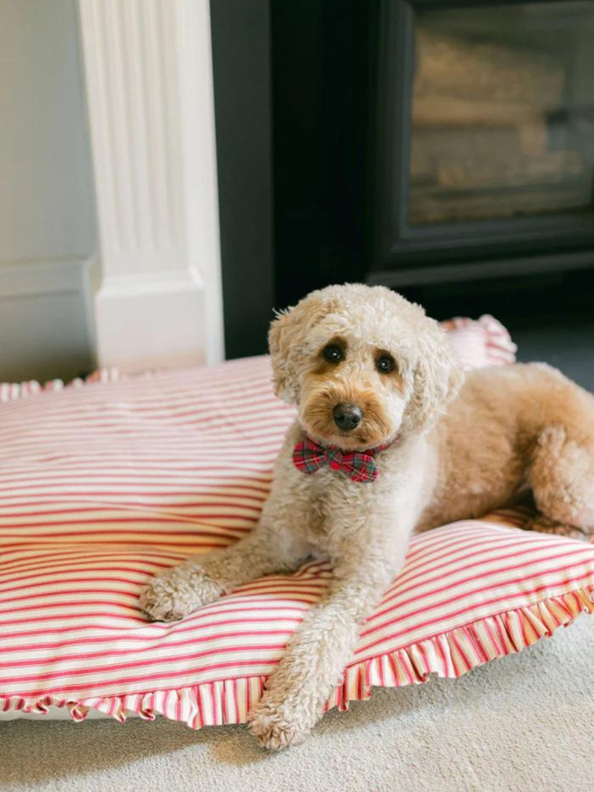 poodle on red ticking handmade pet cushion