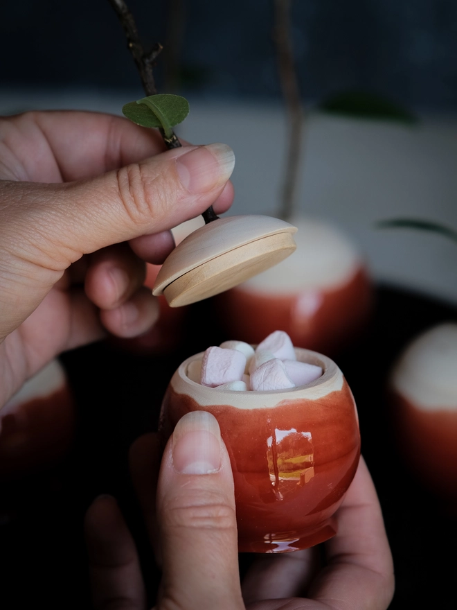 Autumn Decoration Wooden Toffee Apple