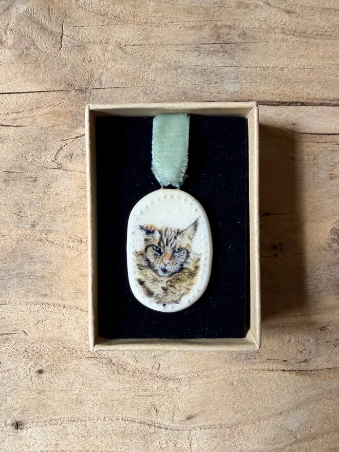 custom pet portrait pendant miniatures. a miniature painted cat portrait in a pendant frame.