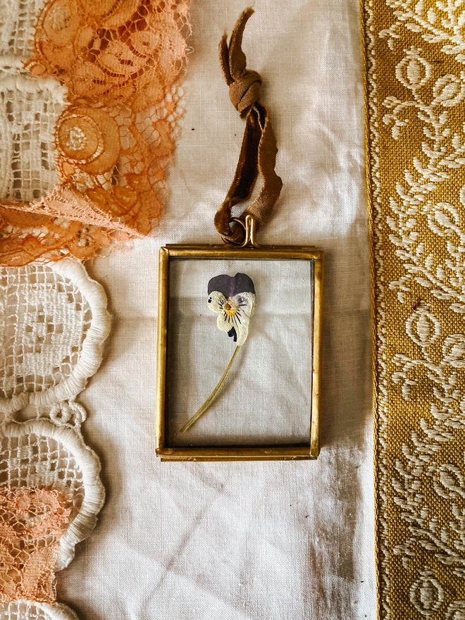 Viola Framed Keepsake 