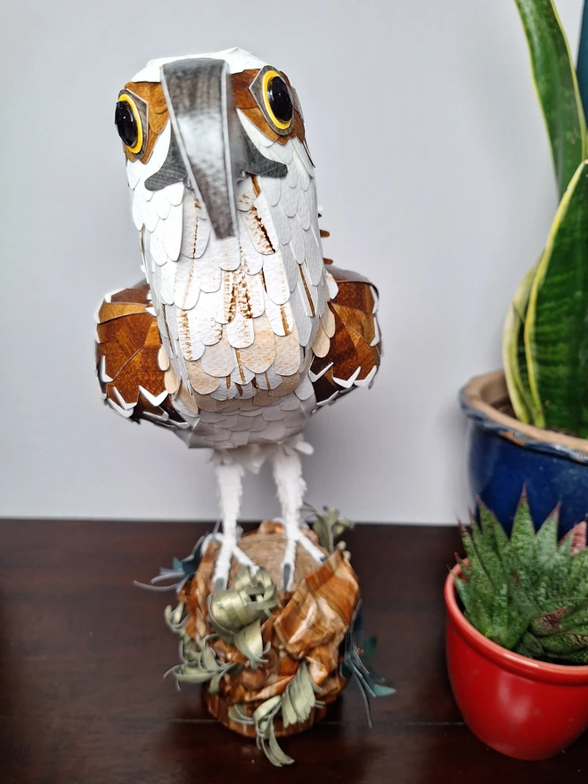 Front view of this bird of prey animal sculpture