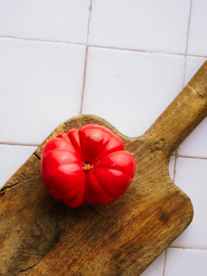 costello tomato candle