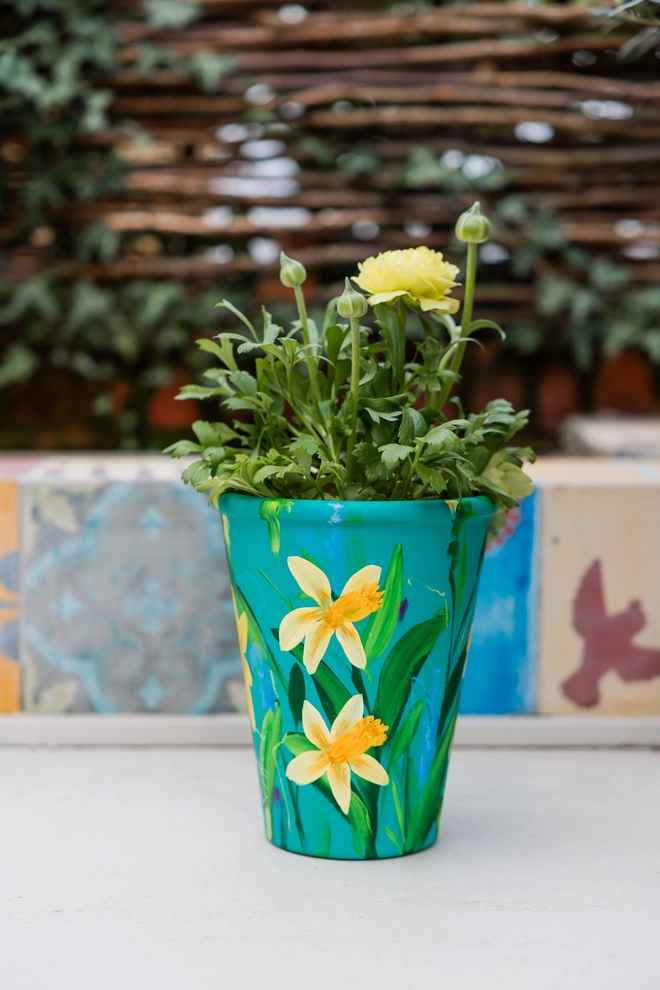 A beautifully hand painted interior terracotta plant pot. Background painted in a rich blue green adorned in vibrant Cornish Trelawney Gold daffodil flowers.
