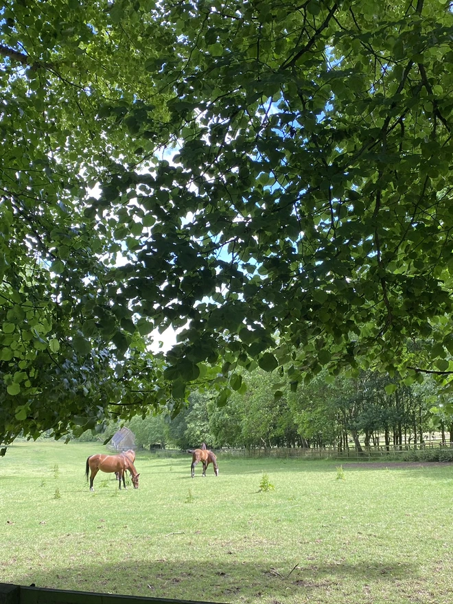 The Heart of England