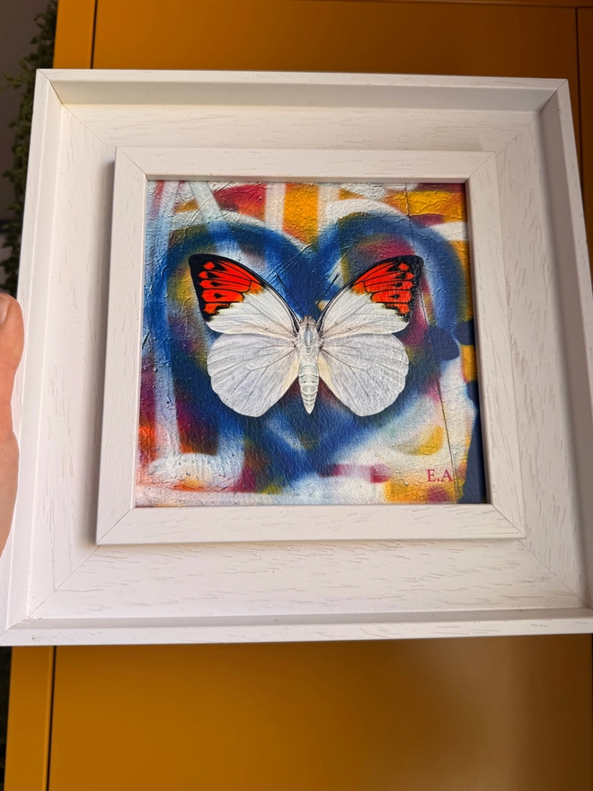 A photo of a square artwork showing a blue spray paint heart on a multi coloured spray paint background. A white orange tip butterfly sits centrally in the heart. The frame is a white frame with no glass and ready to hang.