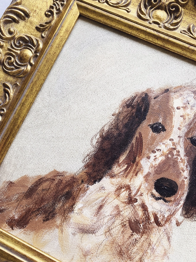 detail of framed portrait of pet dog 