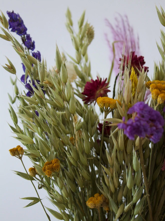 Everlasting dried flowers, natural dried flowers, bunny tails, pink flowers, dried flower bouquet, home , vase, close up