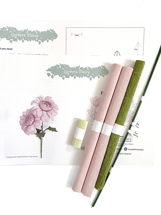 Crepe Paper Gerbera Daisy DIY Kit