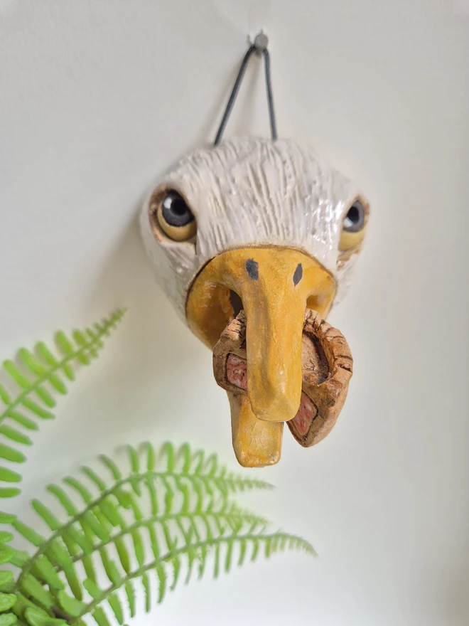 Seagull with Pork pie