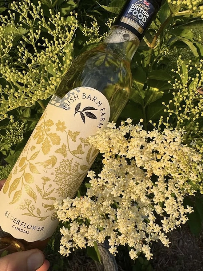 Elderflower Cordial (Set Of 1, 2, 3 Or 4), a bottle of cordial sitting in a bed of elderflower. 