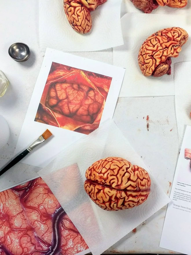 Realistic edible chocolate human brain