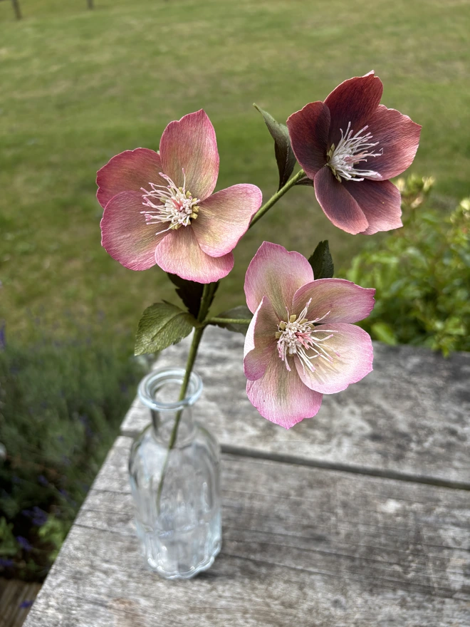 bouquet of 3 paper hellebore flowers 