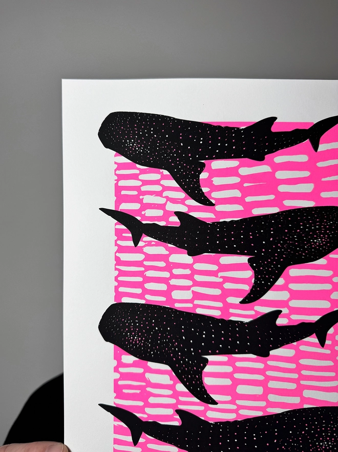 Whale Shark Shiver_A4 Screen Print_Holly and Co_Close up top left