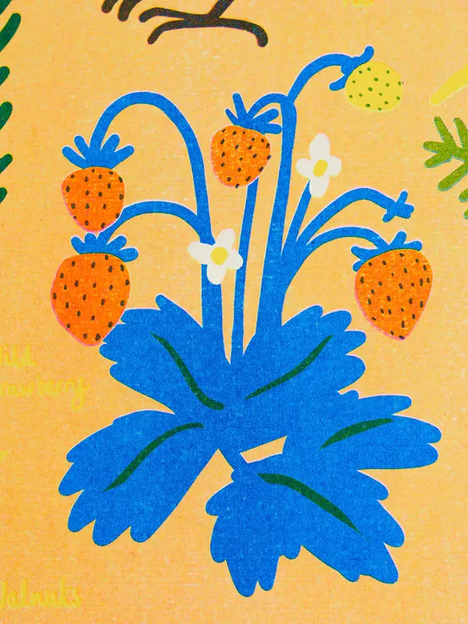 'July' Month Forage Print