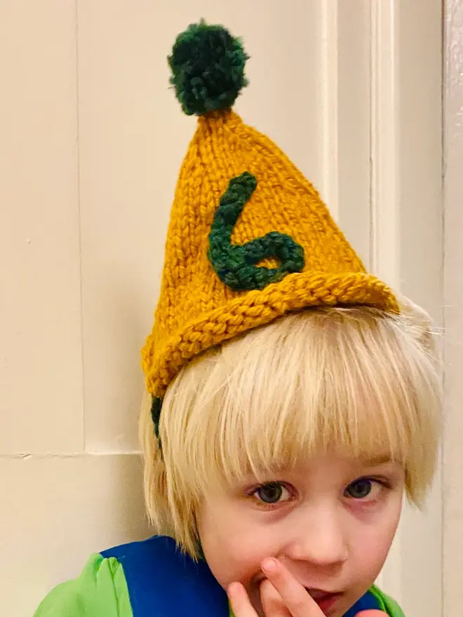 Knitted Party Hat 