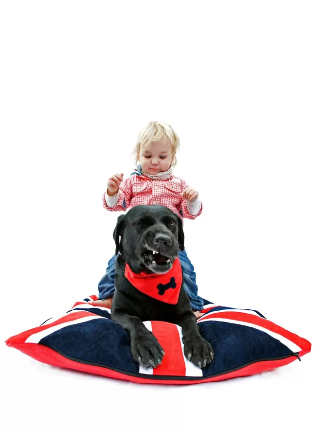 Union Jack Dog Bed With A Labrador & Child