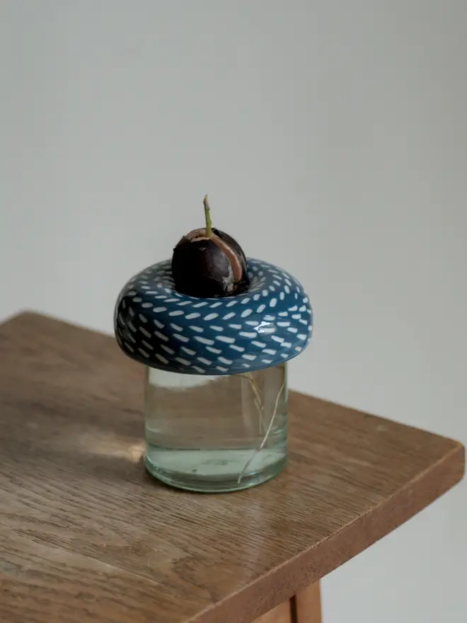 Handmade porcelain avocado planter with carved blue pattern, designed to hold an avocado seed for sprouting