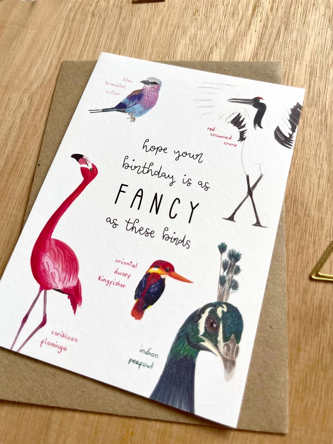 greetings card featuring five colourful or extravagant looking birds around the phrase “hope your birthday is as fancy as these birds”