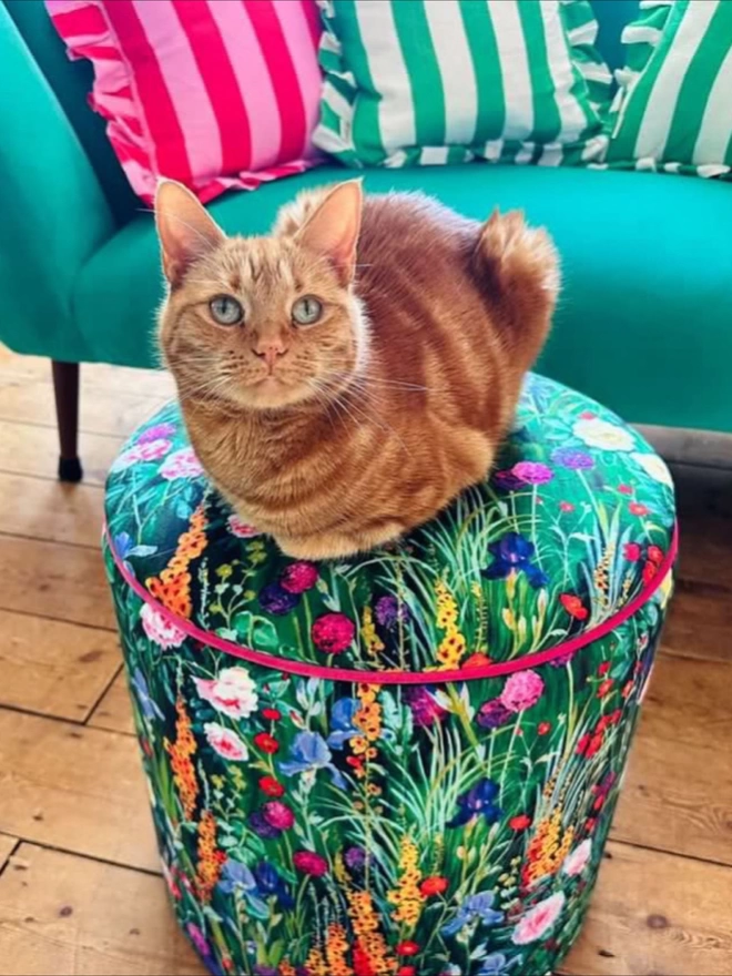 Chelsea Chintz Pouffe with cat on top