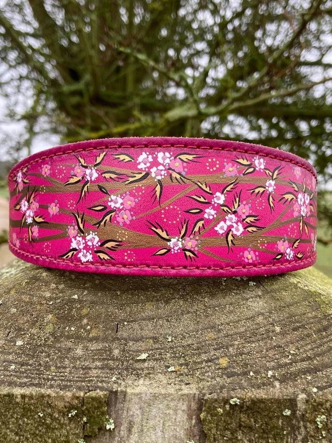 pink floral hand painted leather dog collar