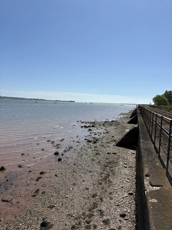 Exe Estuary