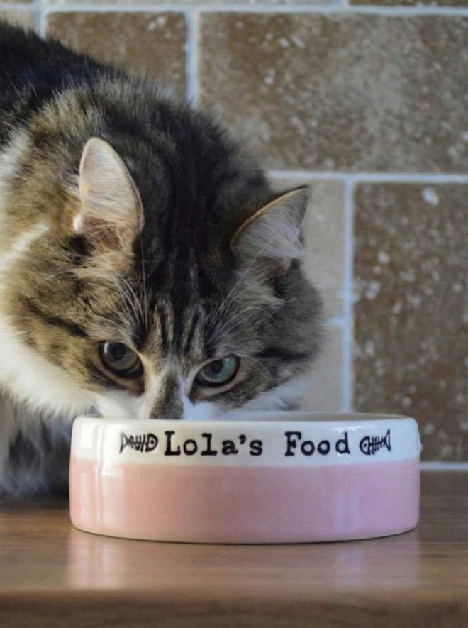 handmade ceramic cat bowl