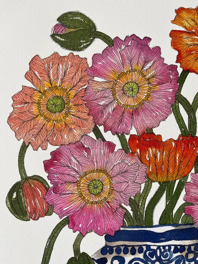 'Poppies Blooming With Curiosity' A3 Giclee Art Print